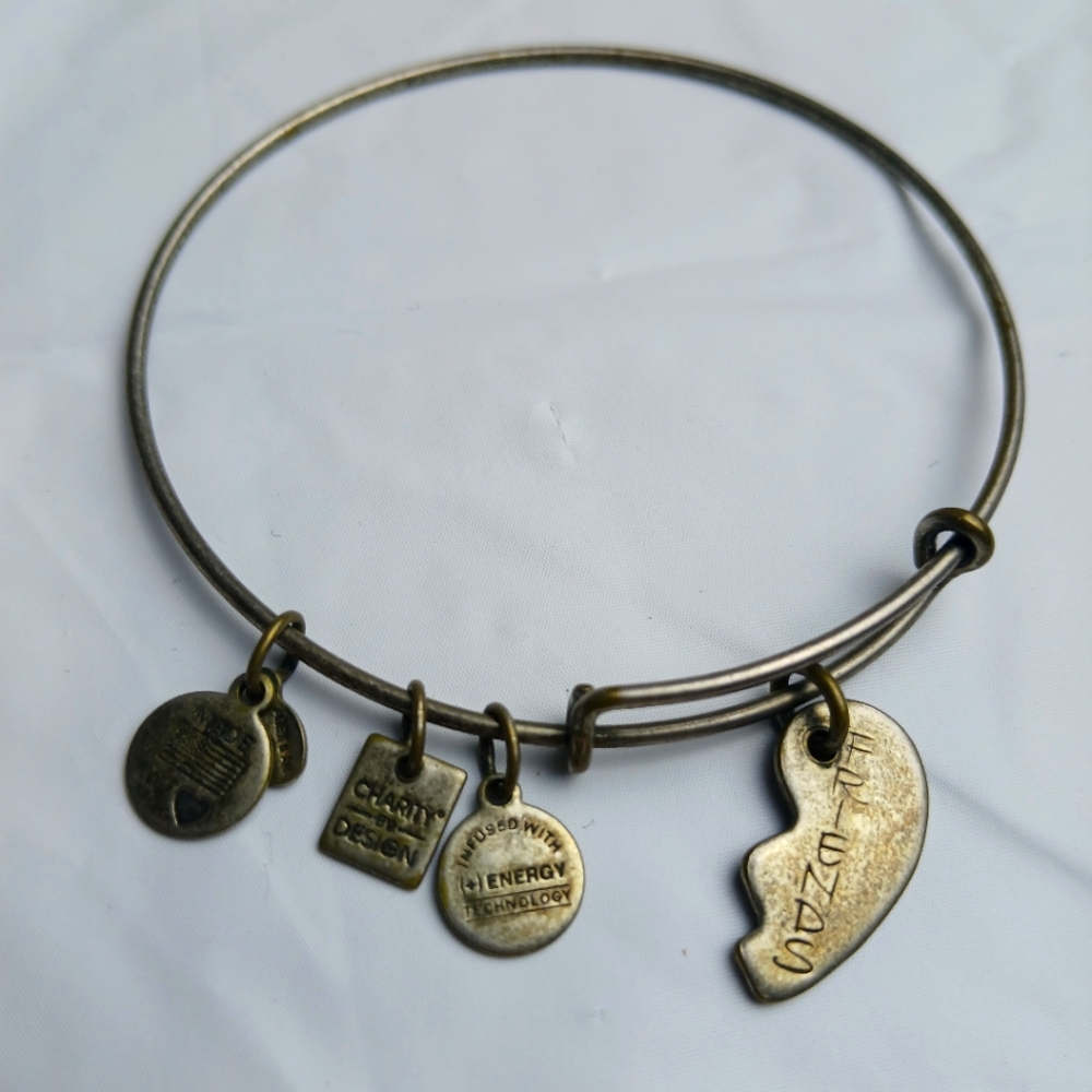 Alex‎ and Ani 2014 'FRIENDS'' Charm Bangle Bracelet/Chrome